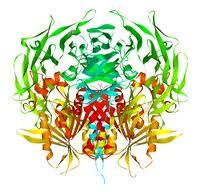 dpp-4, gliptin, gliptin készítmények, cukorbetegség