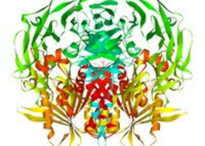 dpp-4, gliptin, gliptin készítmények, cukorbetegség