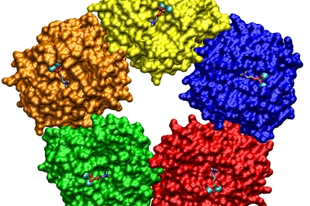 CRP szint, c-reaktív protein, 